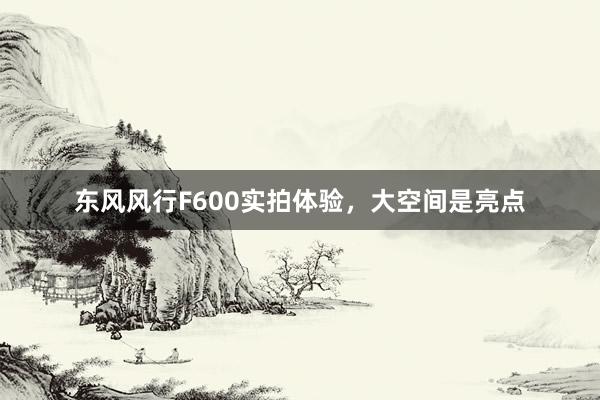 东风风行F600实拍体验，大空间是亮点