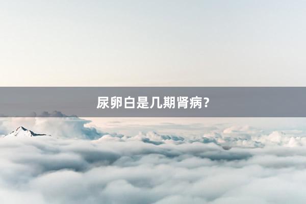 尿卵白是几期肾病？
