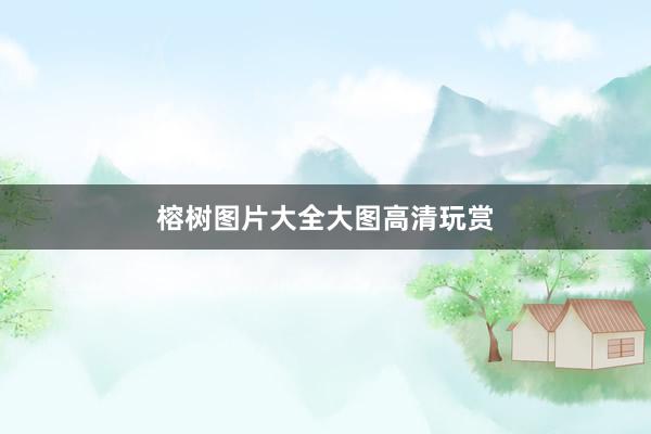 榕树图片大全大图高清玩赏
