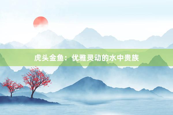 虎头金鱼：优雅灵动的水中贵族